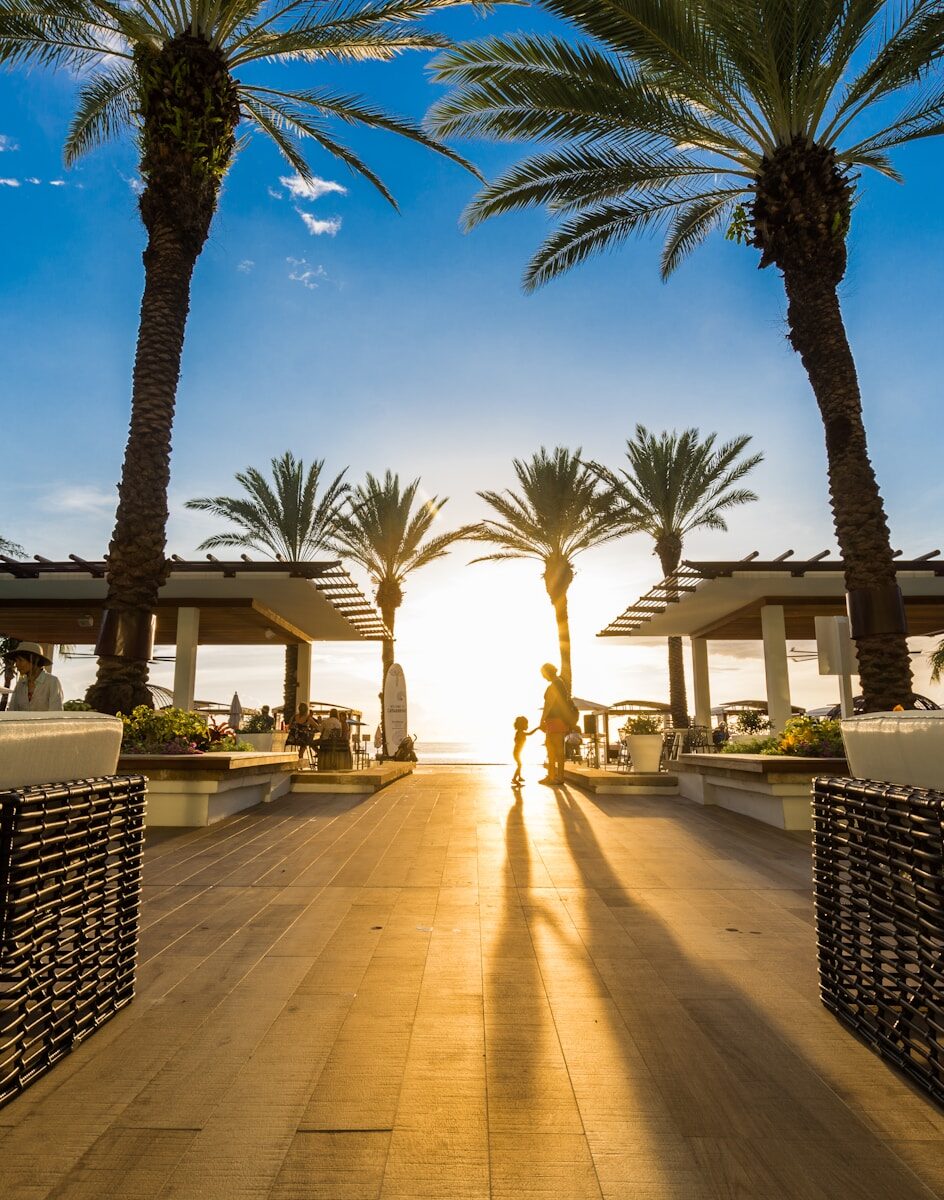 Palm-lined walkway